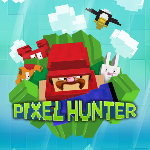 Pixel Hunter