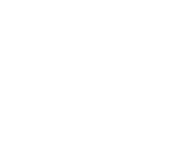 American-Eagle.png