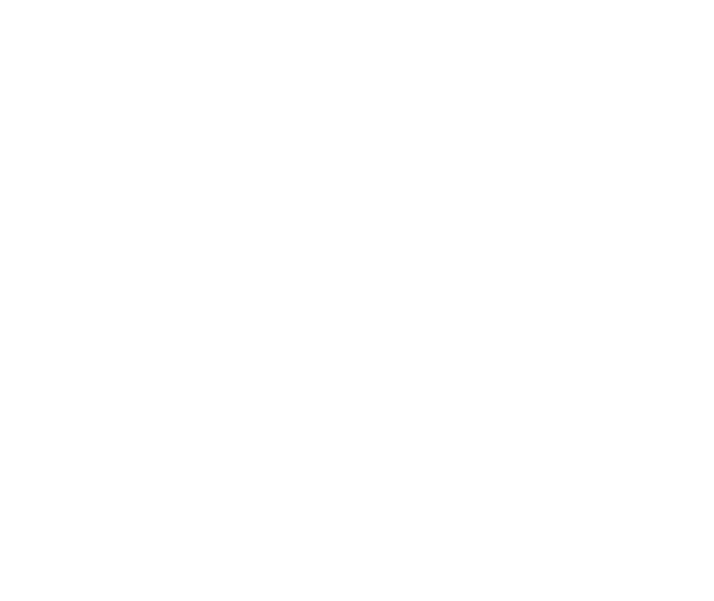 Heineken.png