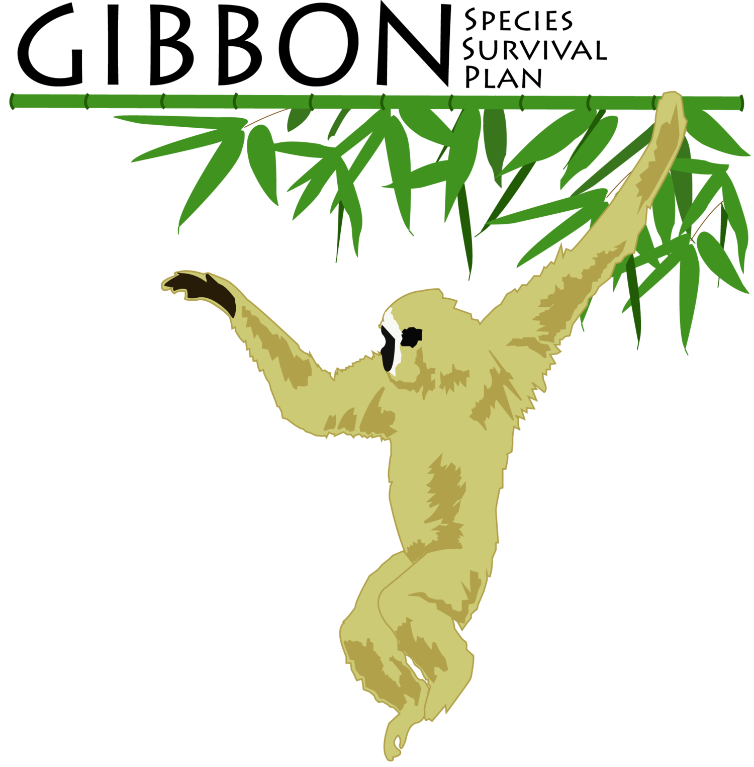 Gibbon SSP