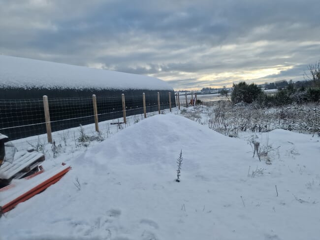 A shrimp farm in winter.