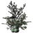 SR-icon-ingredient-Juniper Berries.png