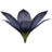 SR-icon-ingredient-Stoneflower Petals.png