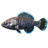 SR-icon-ingredient-Pygmy Sunfish.png