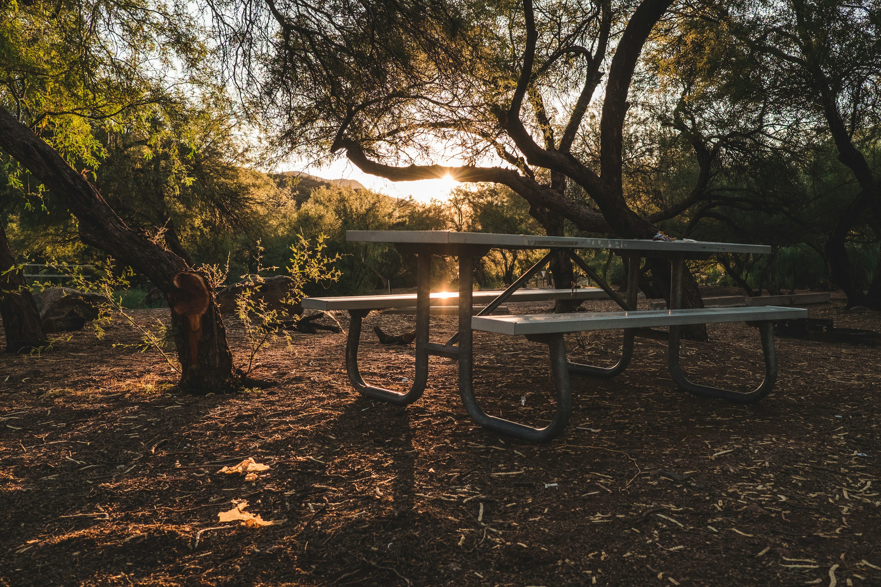 mesa de picnic de madera marrón