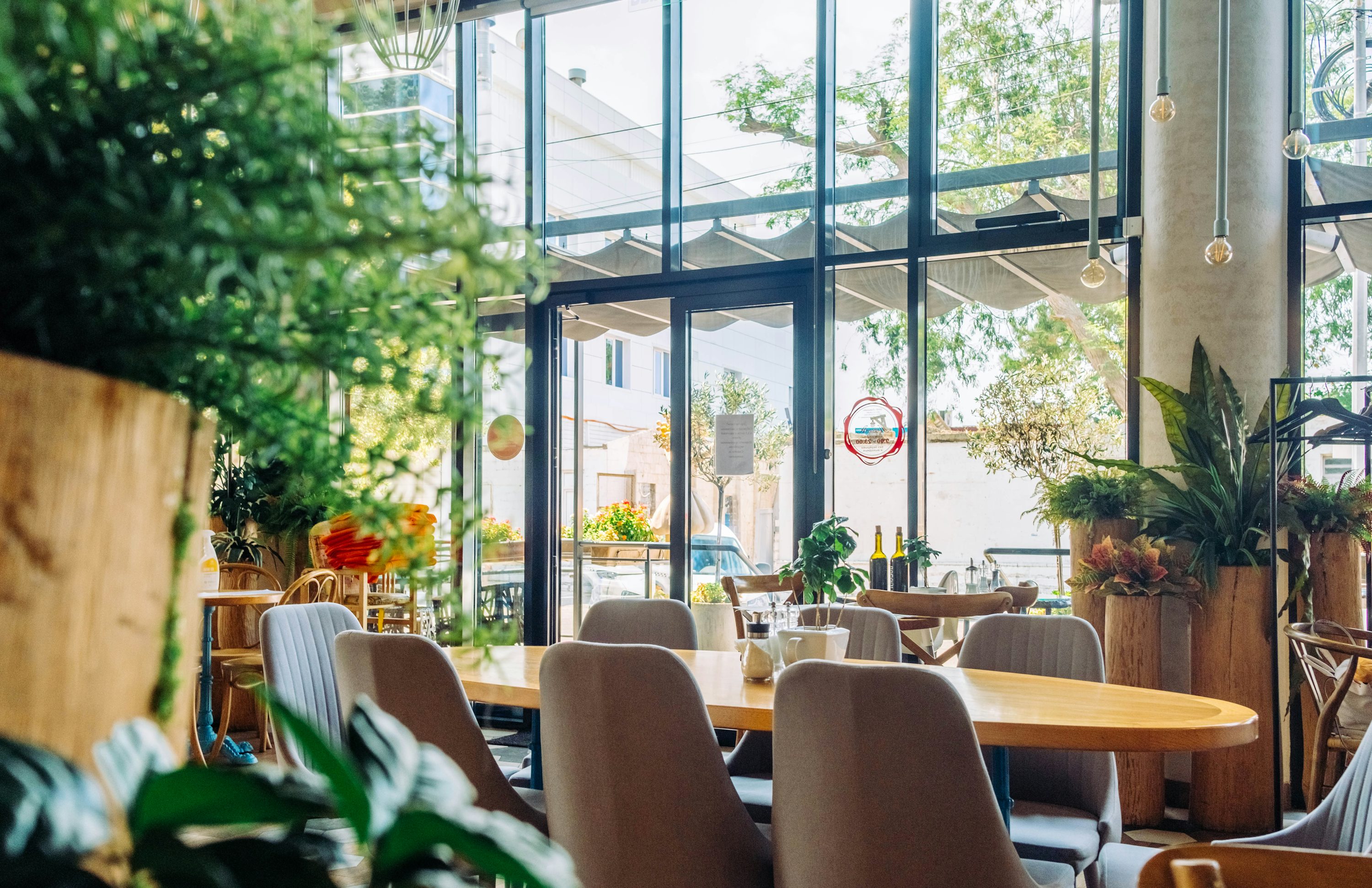 brown and white chairs and table near green leaf tree during daytime