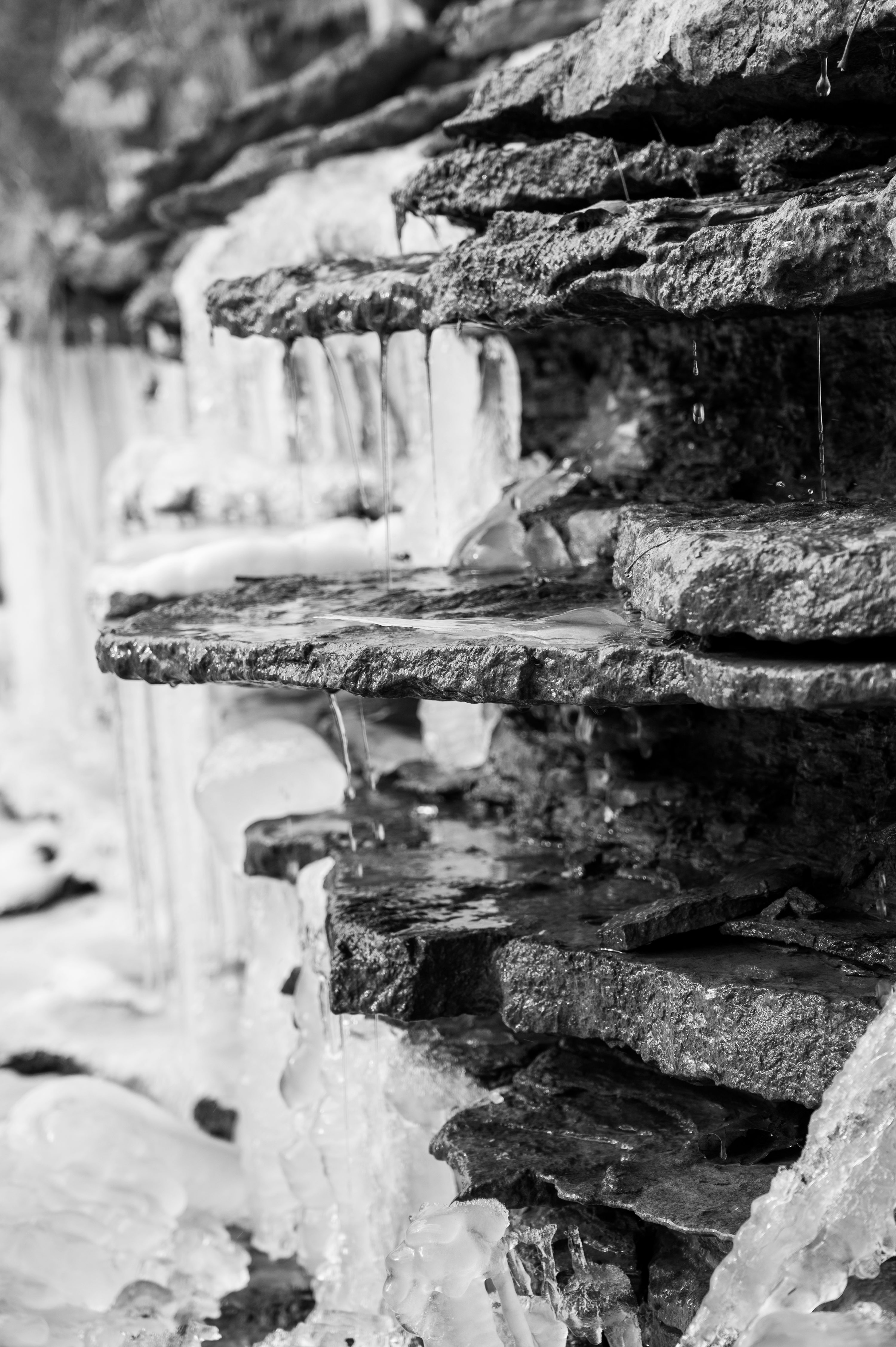 Una foto en blanco y negro de hielo y agua