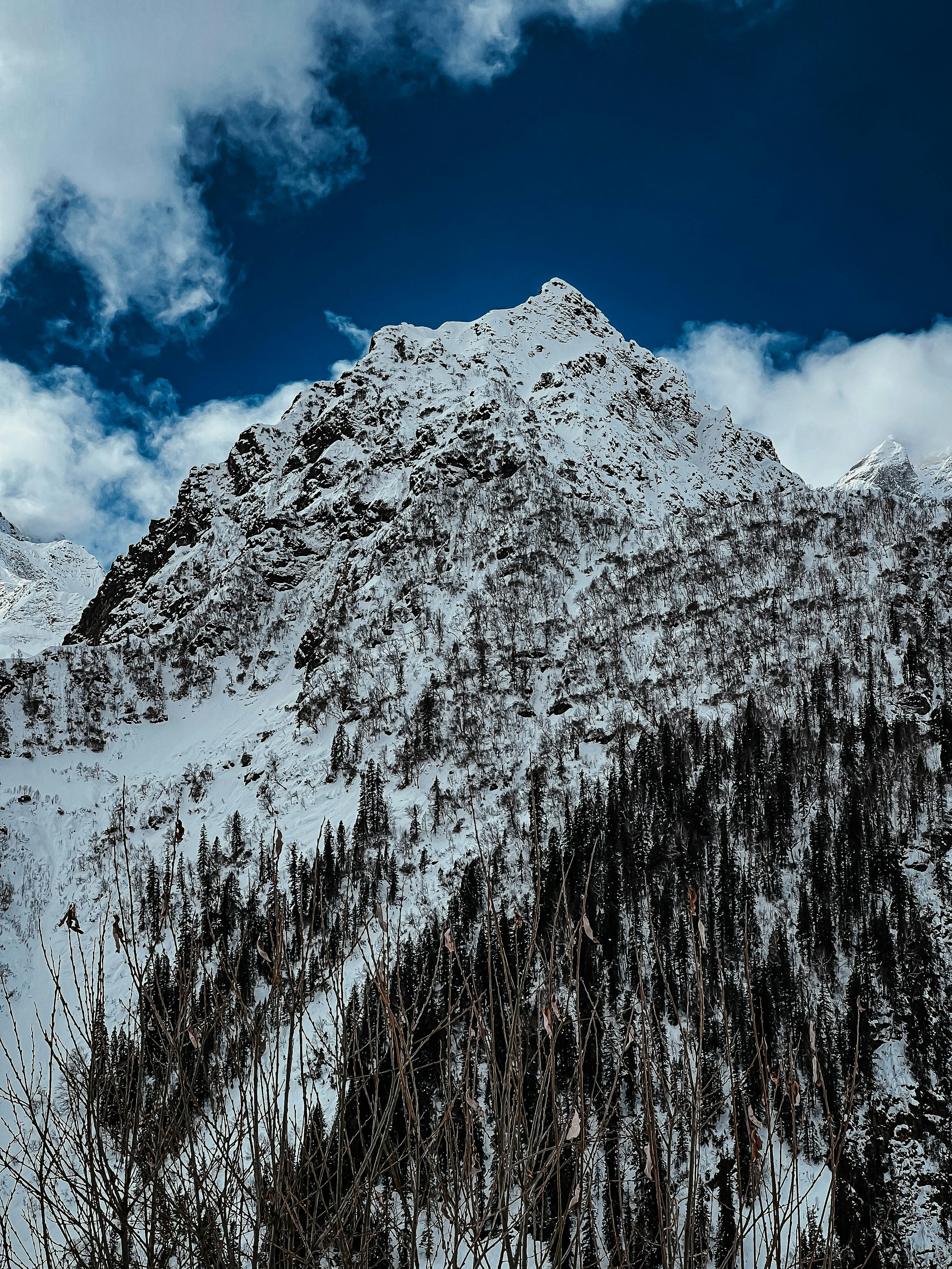 una montaña cubierta de nieve con árboles en el costado