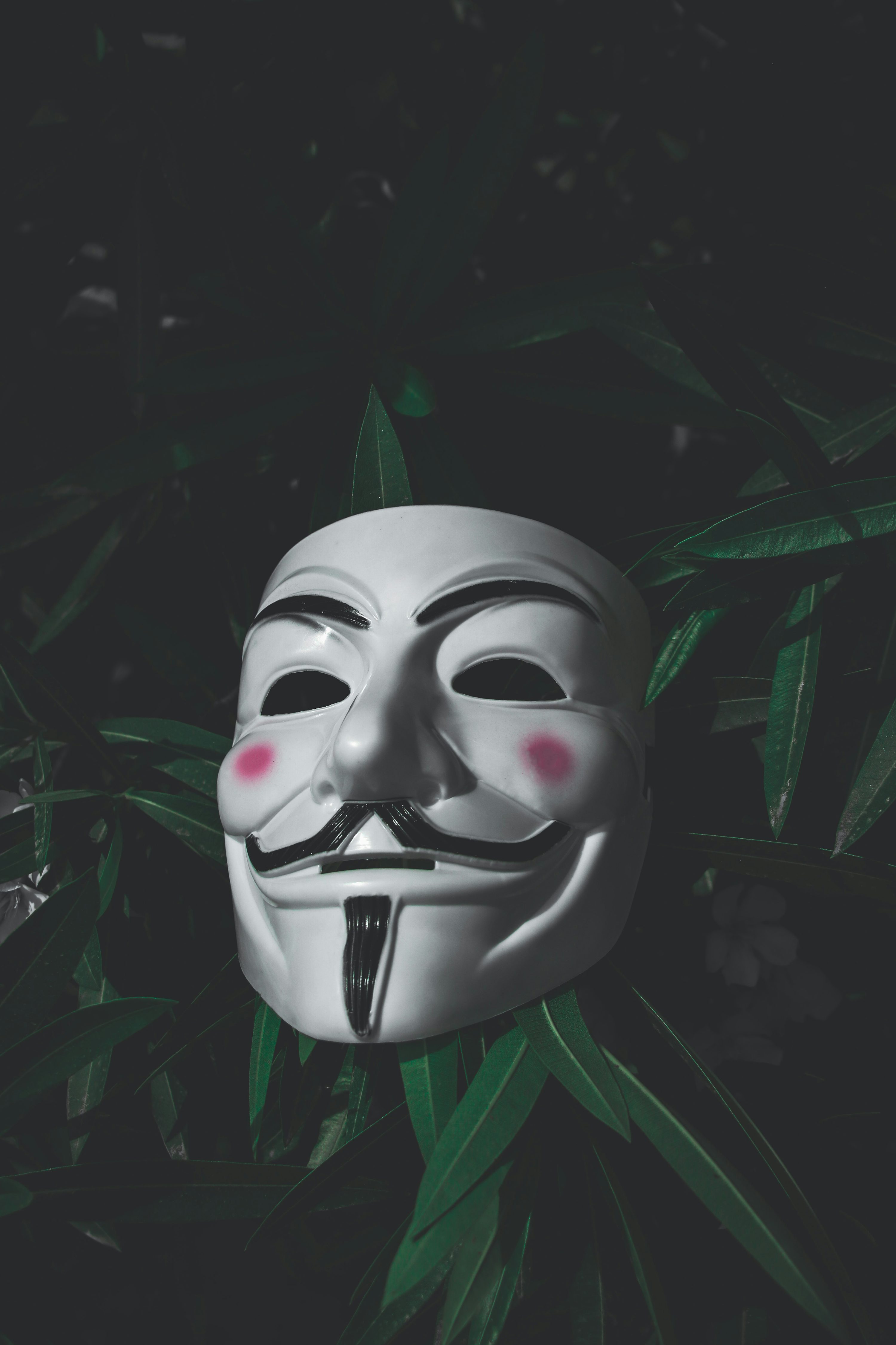 Una máscara en una planta