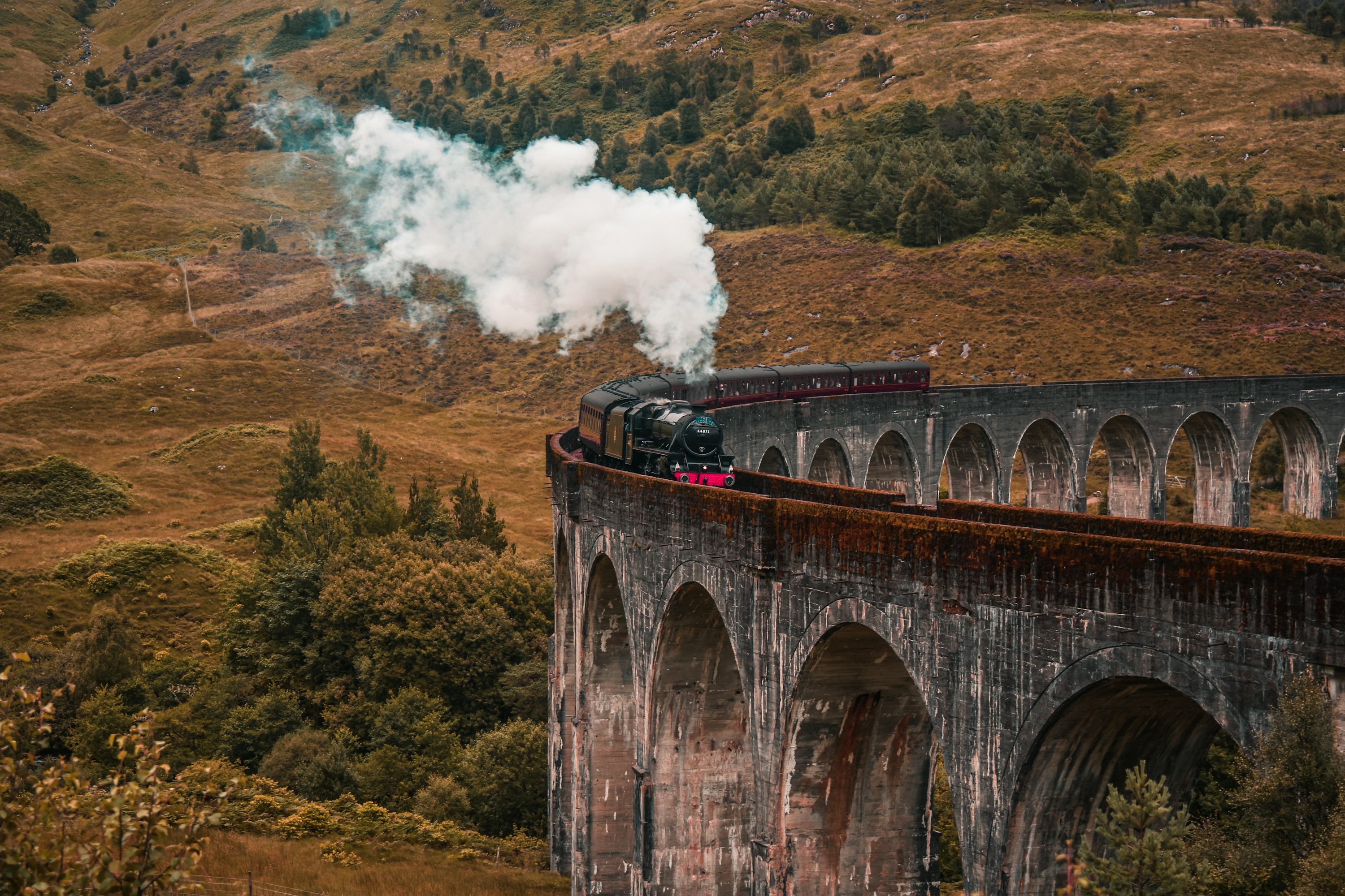Un tren en un puente
