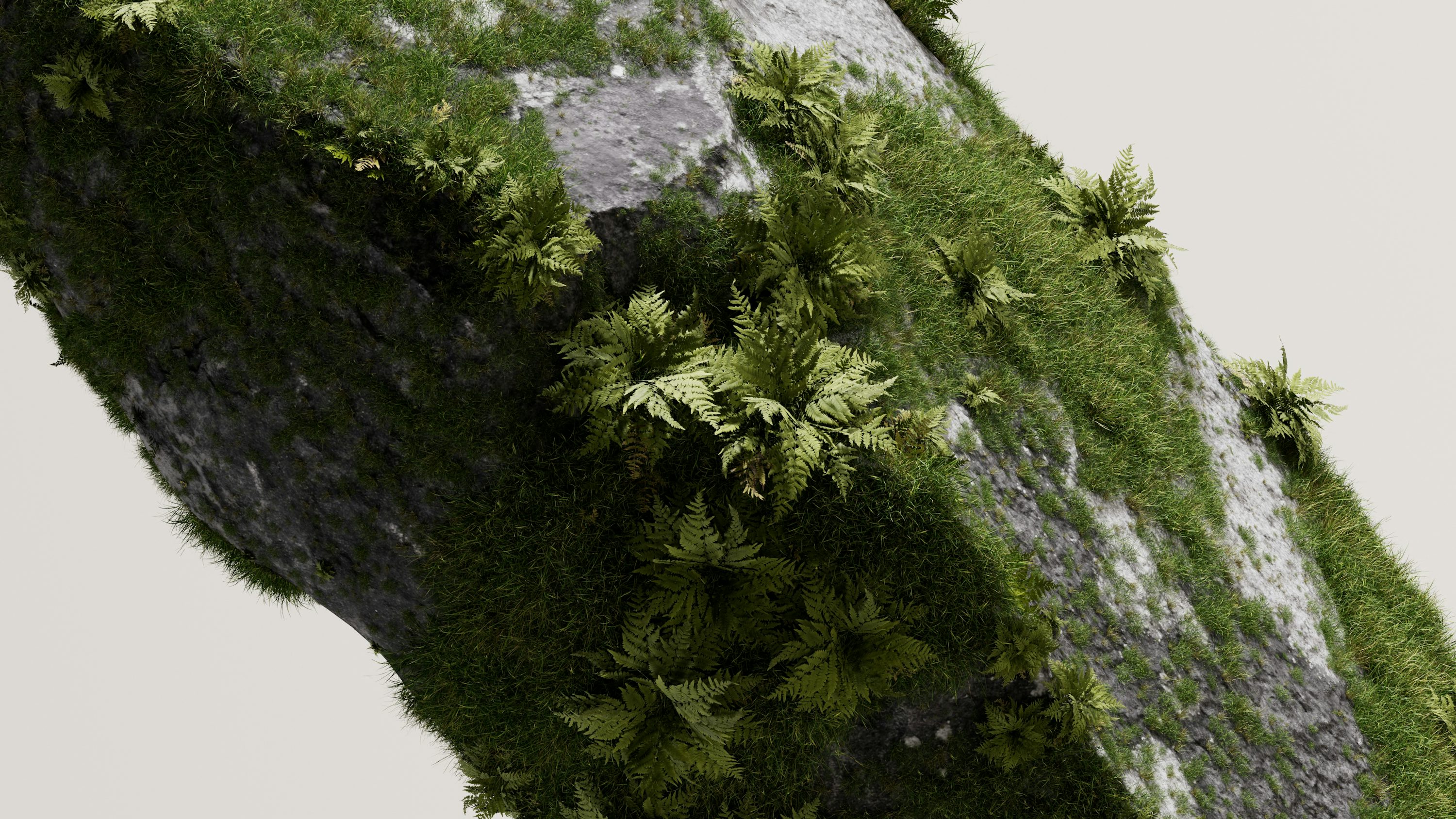 uma planta verde crescendo do lado de uma rocha