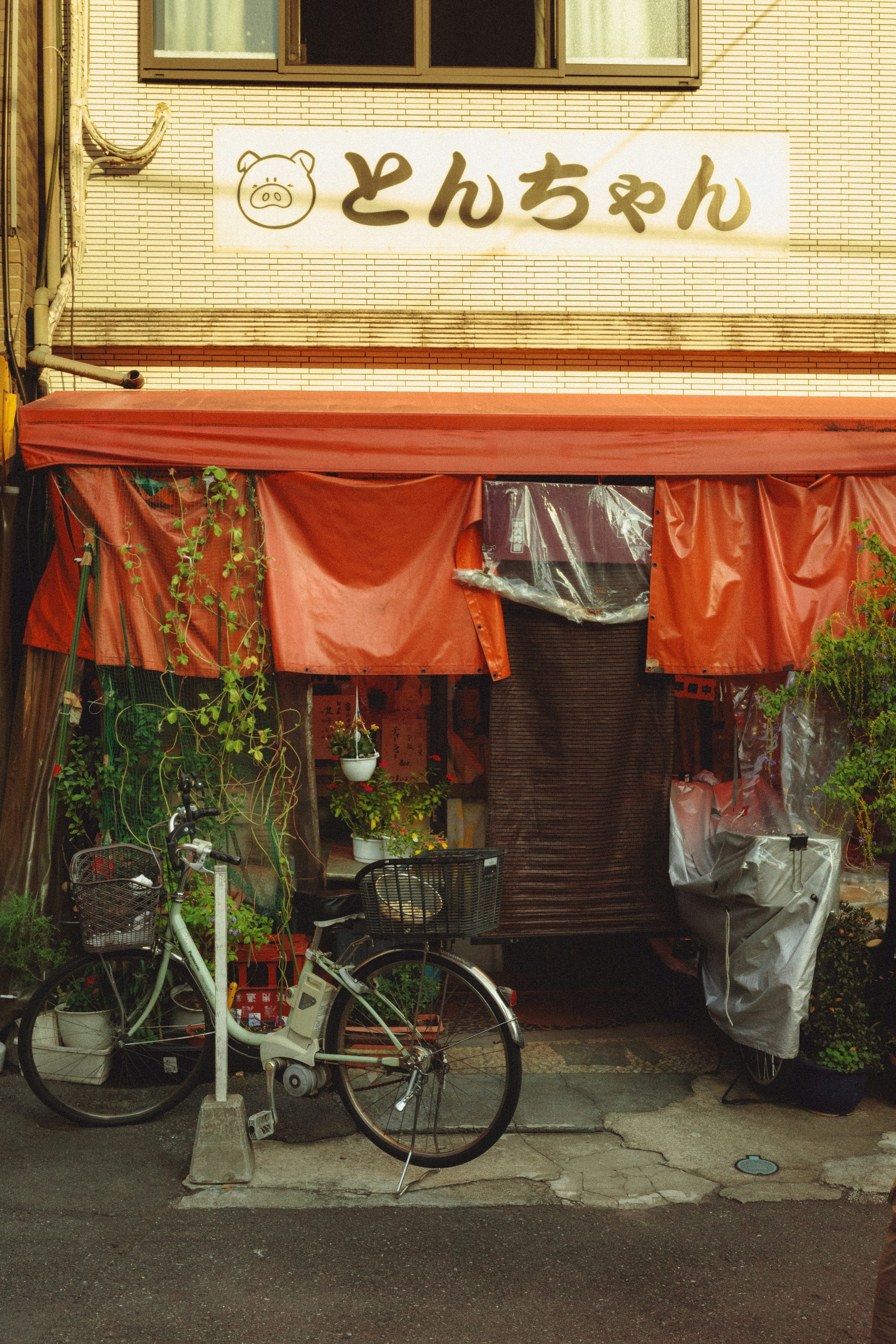 una bicicleta estacionada frente a una tienda