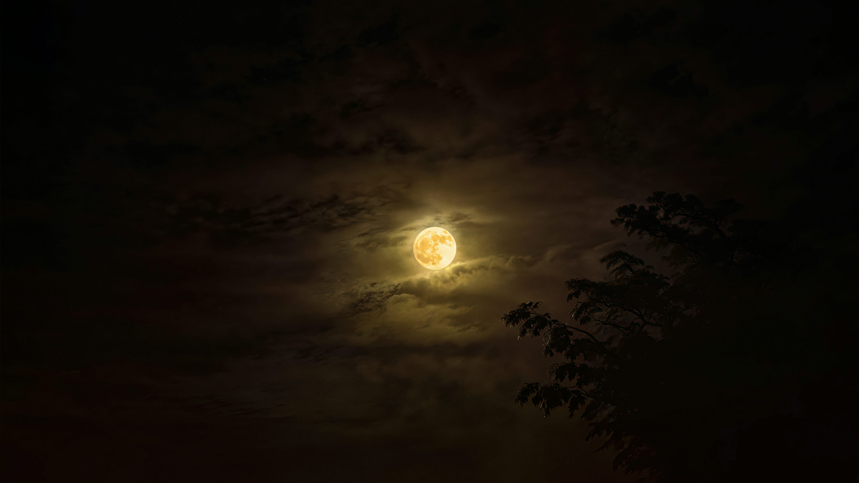 Se ve una luna llena en el cielo nocturno