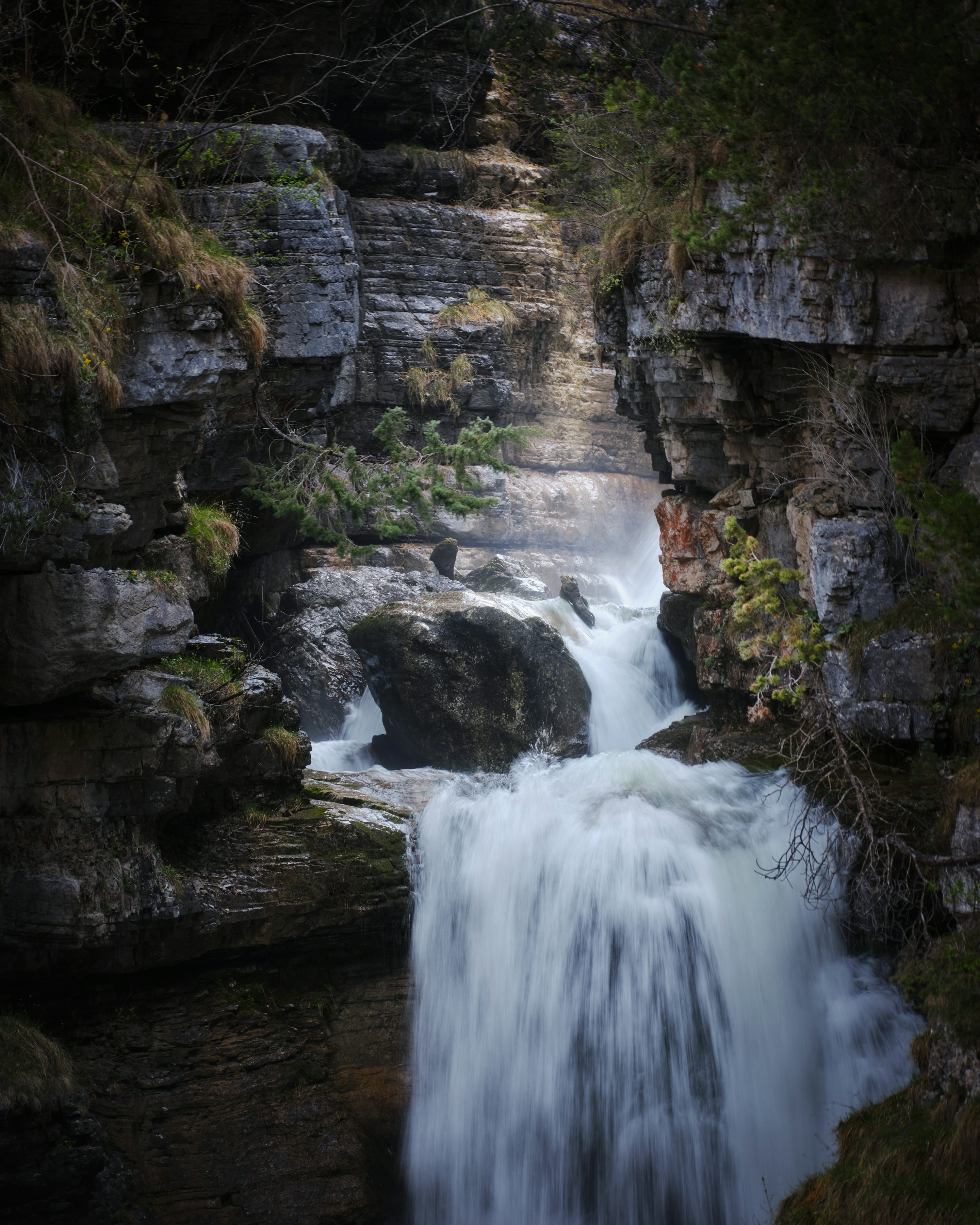 Uma pequena cachoeira no meio de uma floresta