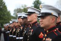 Marine dress blue lineup.