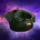 puggerflies's avatar