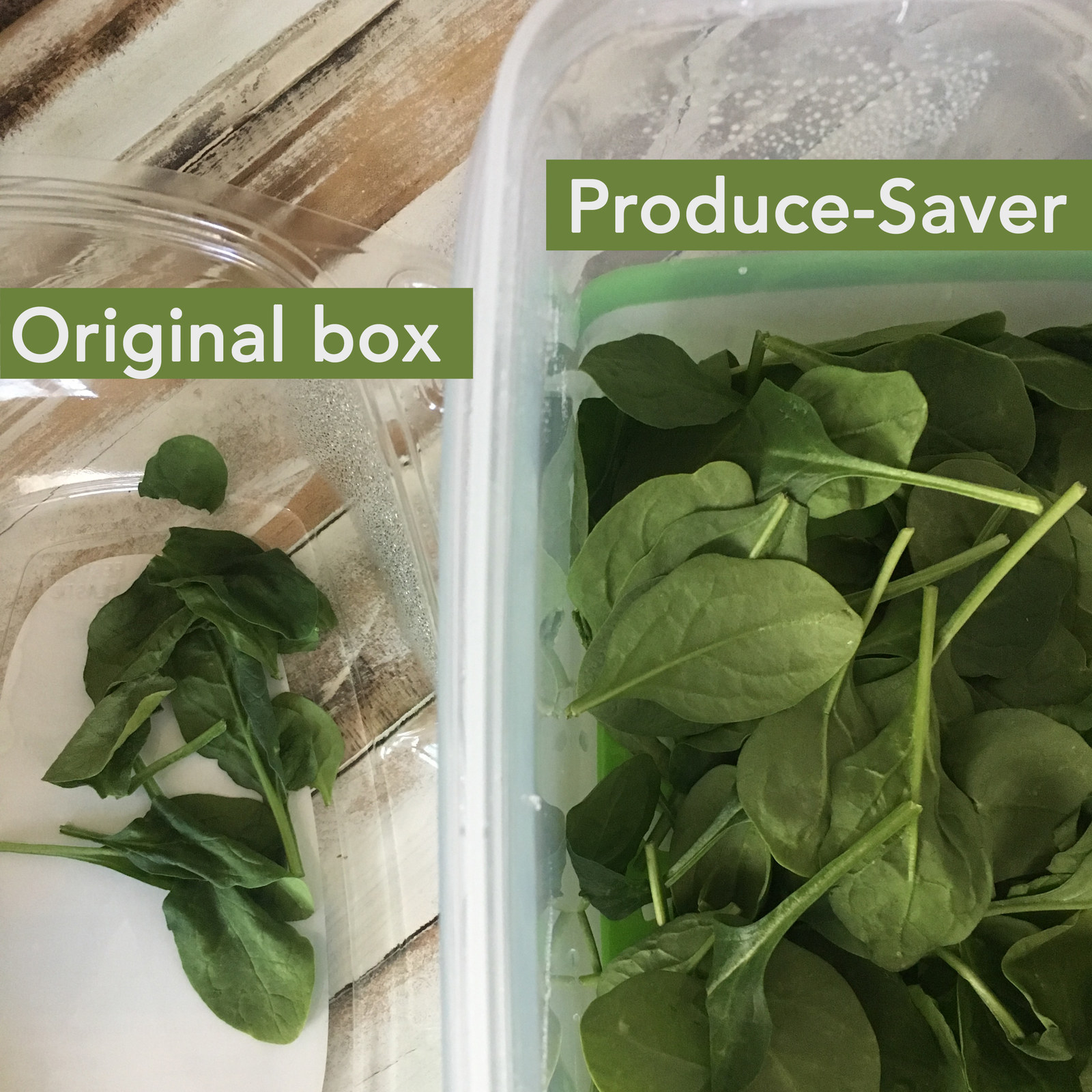 original box of spinach with a few wilted pieces next to produce saver, where spinach looks fresh and crisp