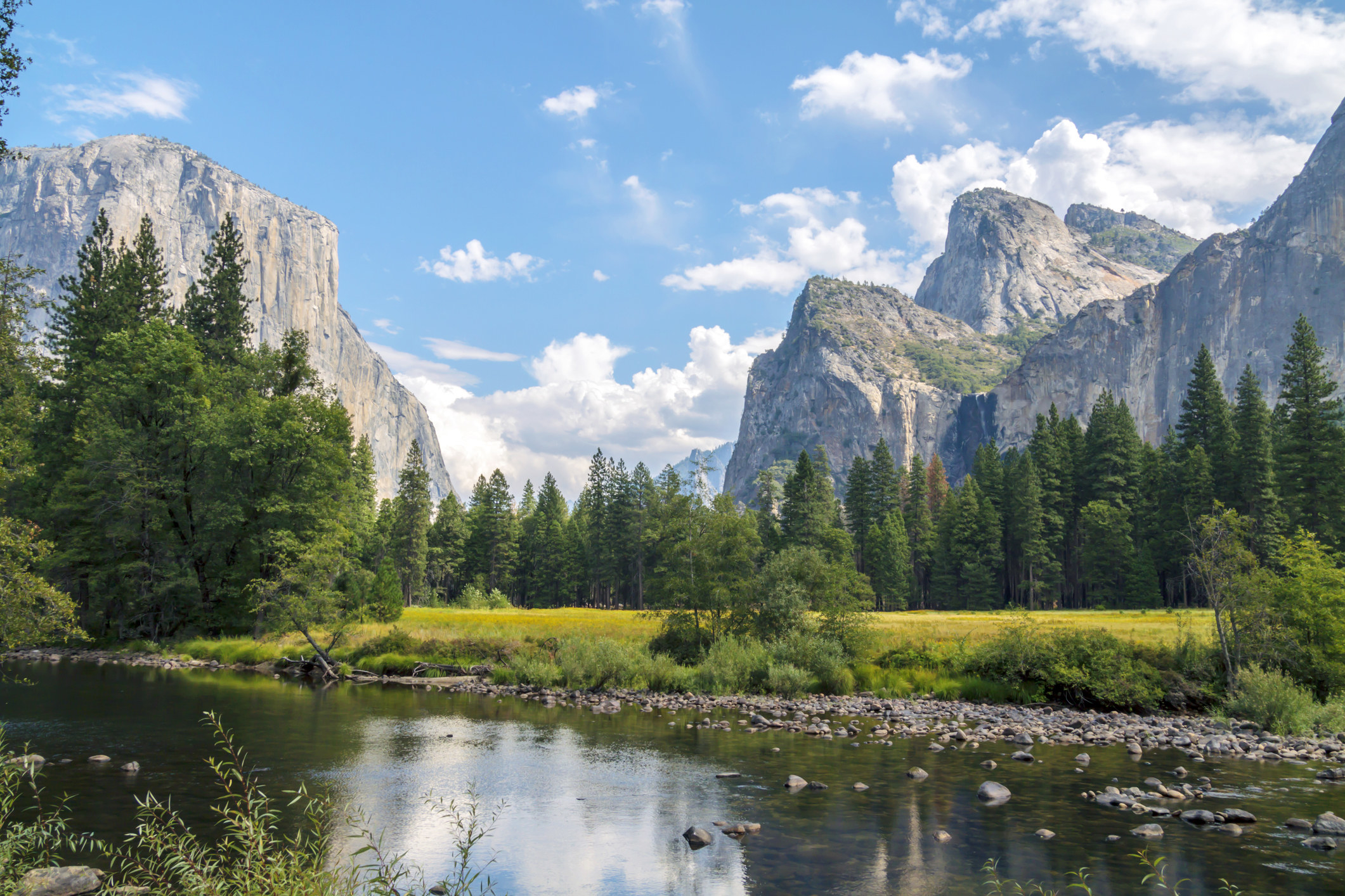 A view of the woods and towering rock formations. 