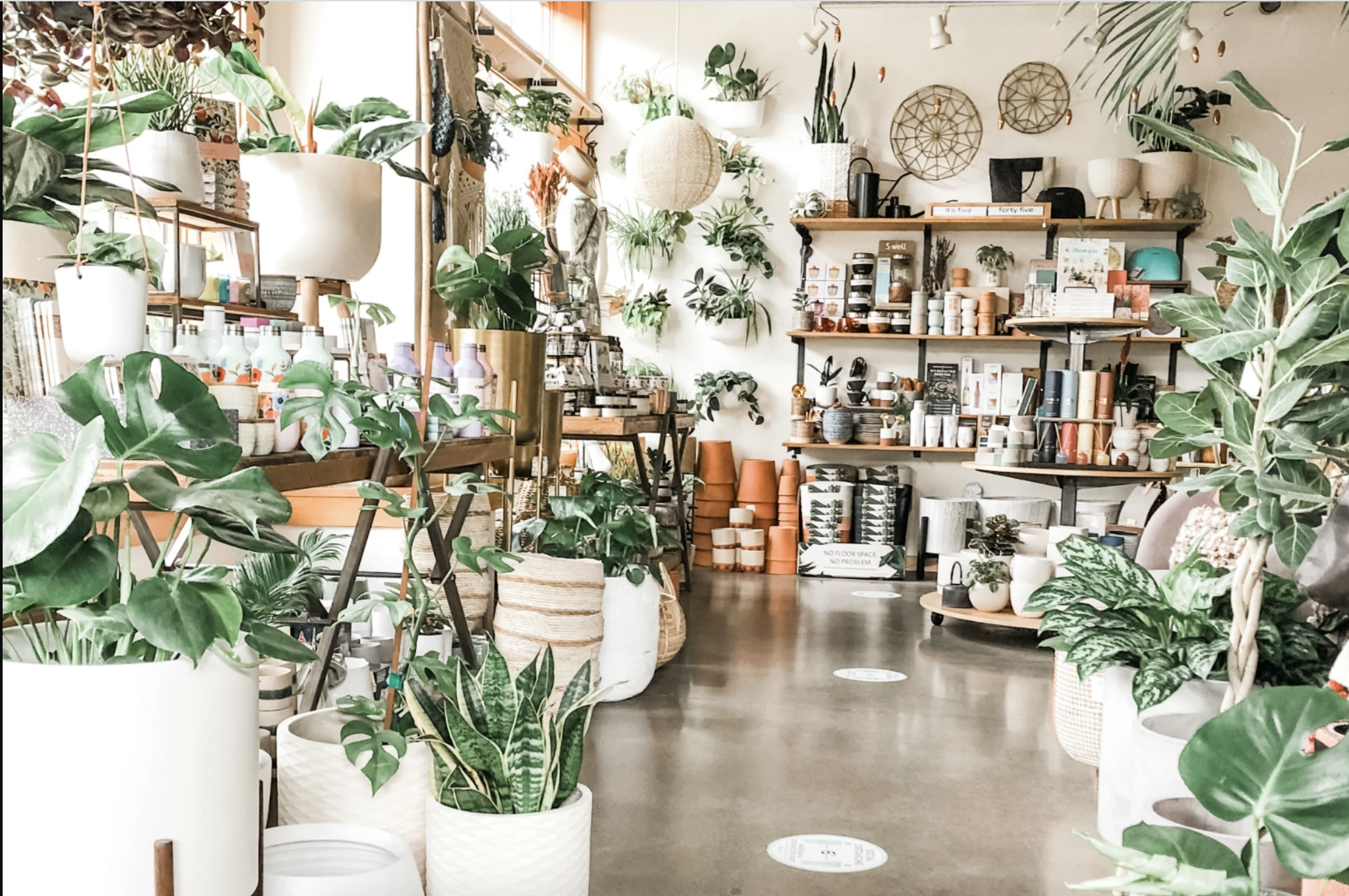 The store is packed with plants and plant supplies