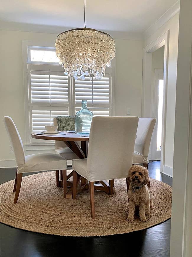 Reviewer's circular rug is shown in the dining room