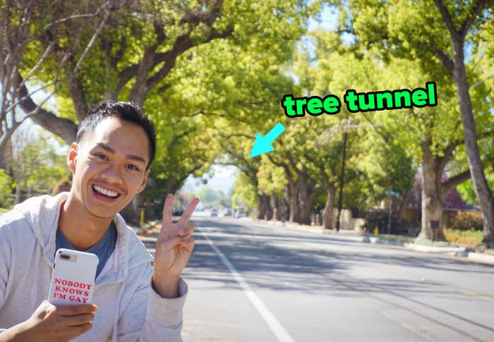 The author pictured along the road next to a tree tunnel in Los Angeles county