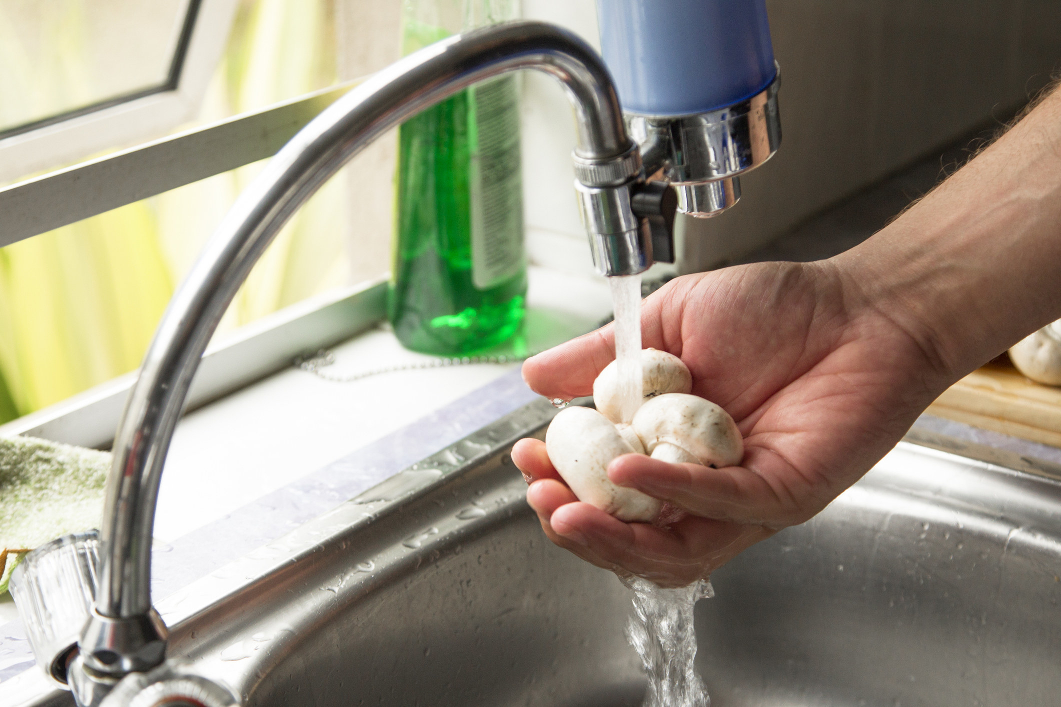 A person washing mushrooms in the sink.