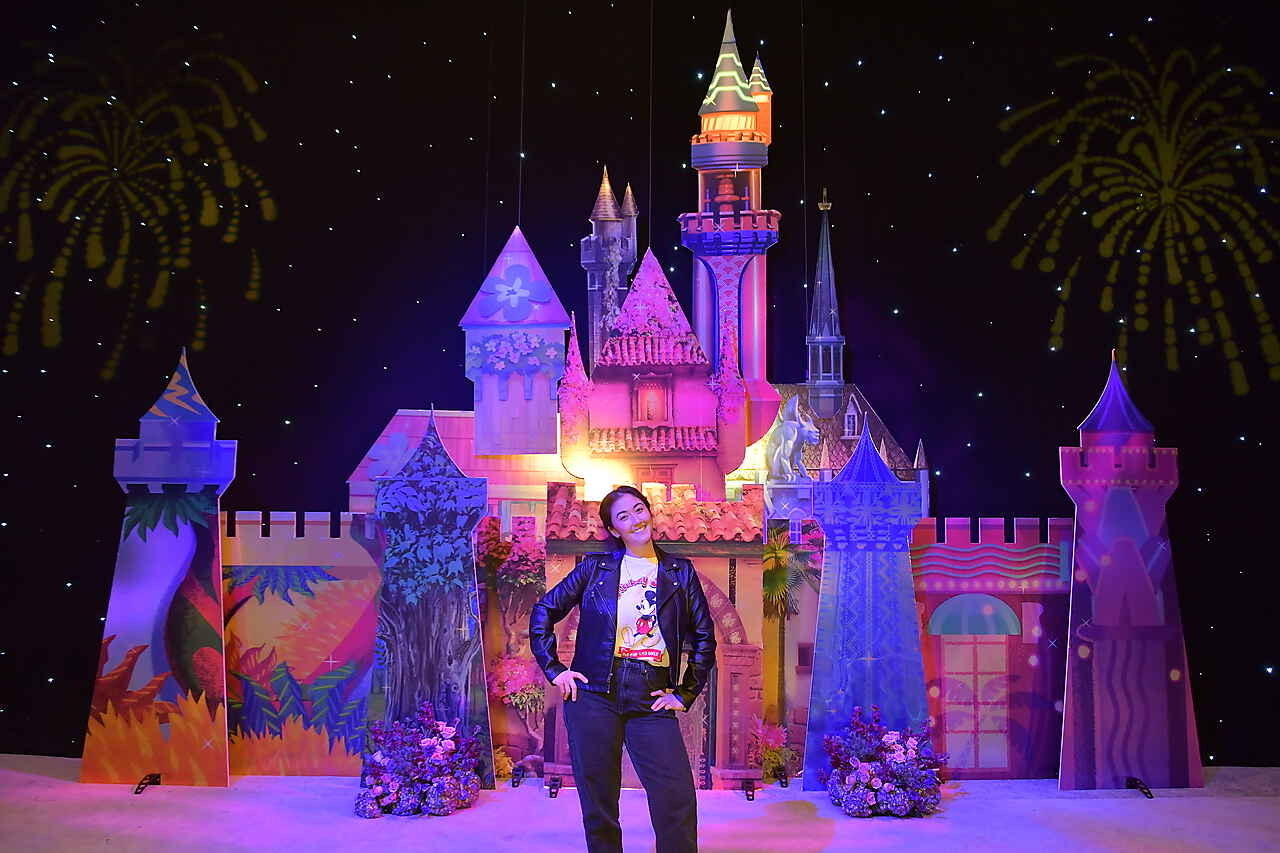 The author posing in front of the Disneyland castle photo opportunity.