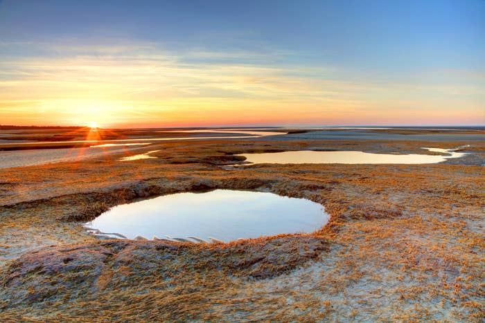 A scenic beach and ponds.