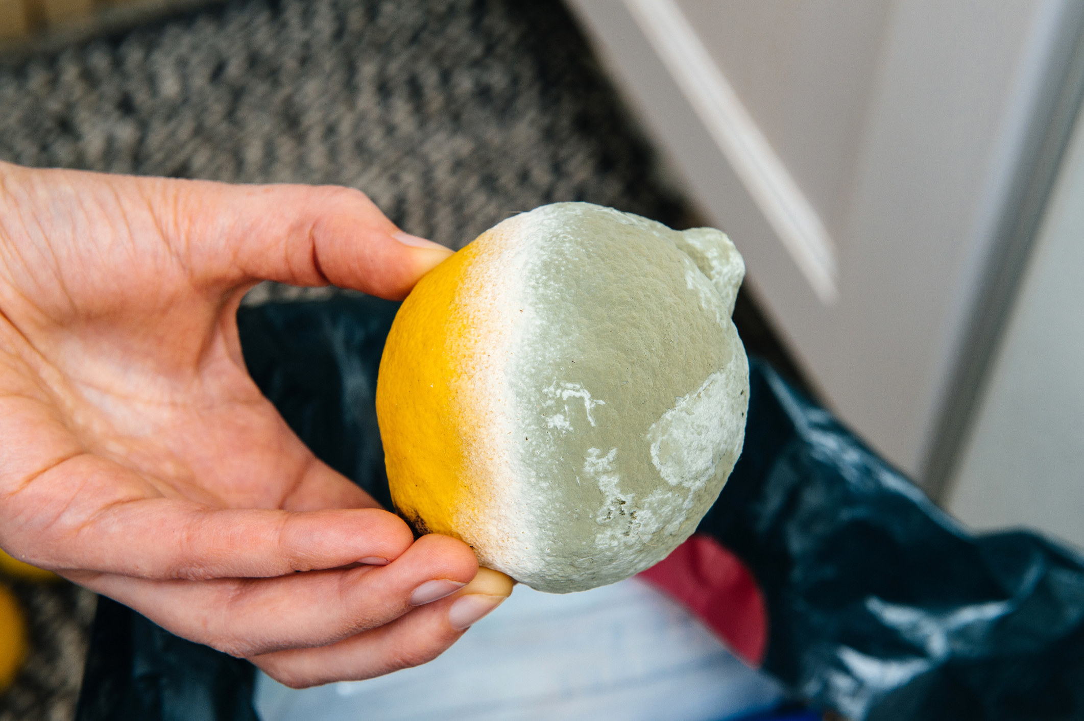 A hand holding a lemon that is partially covered with mold