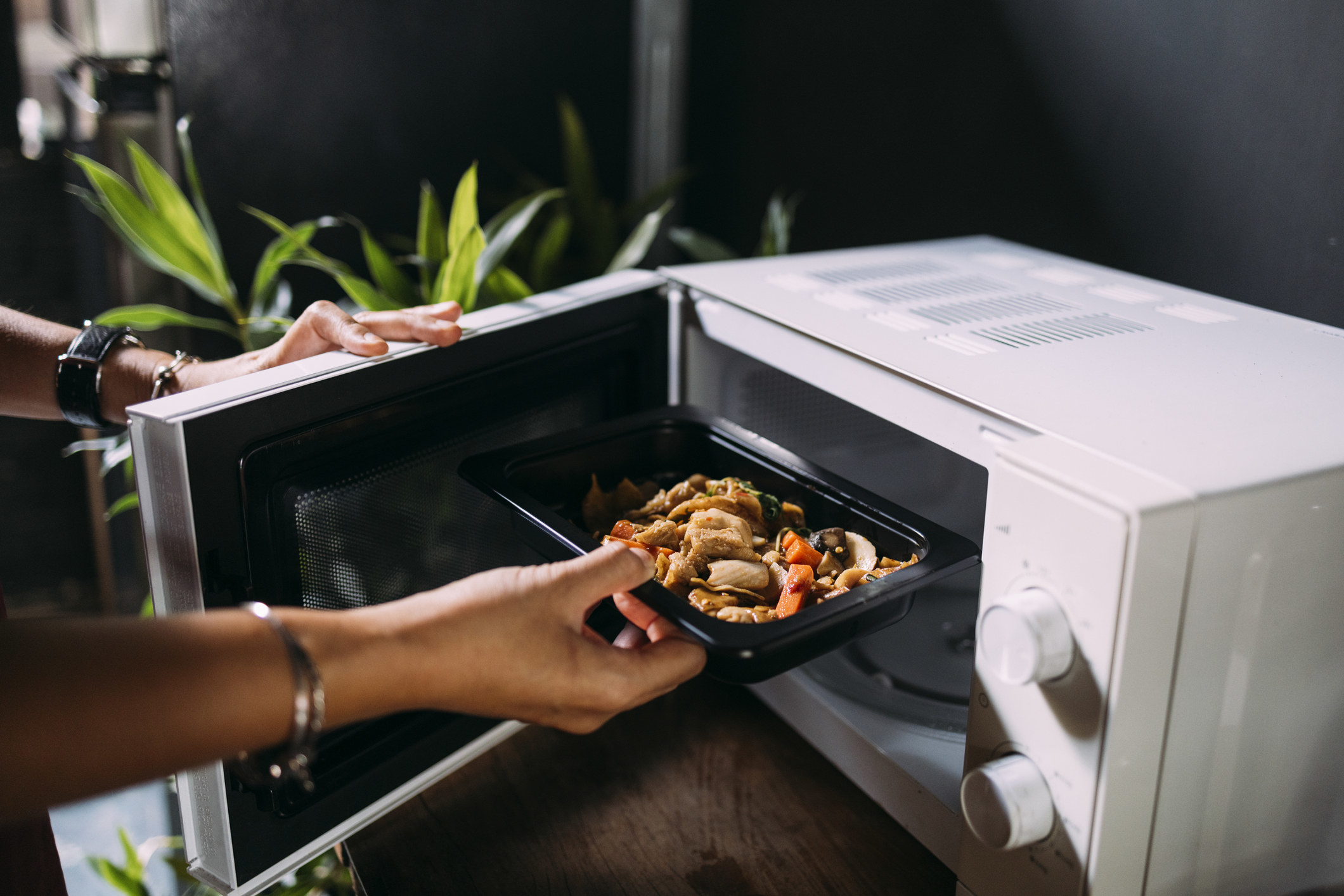 Person placing a tray of food into a microwave, with green plants in the background