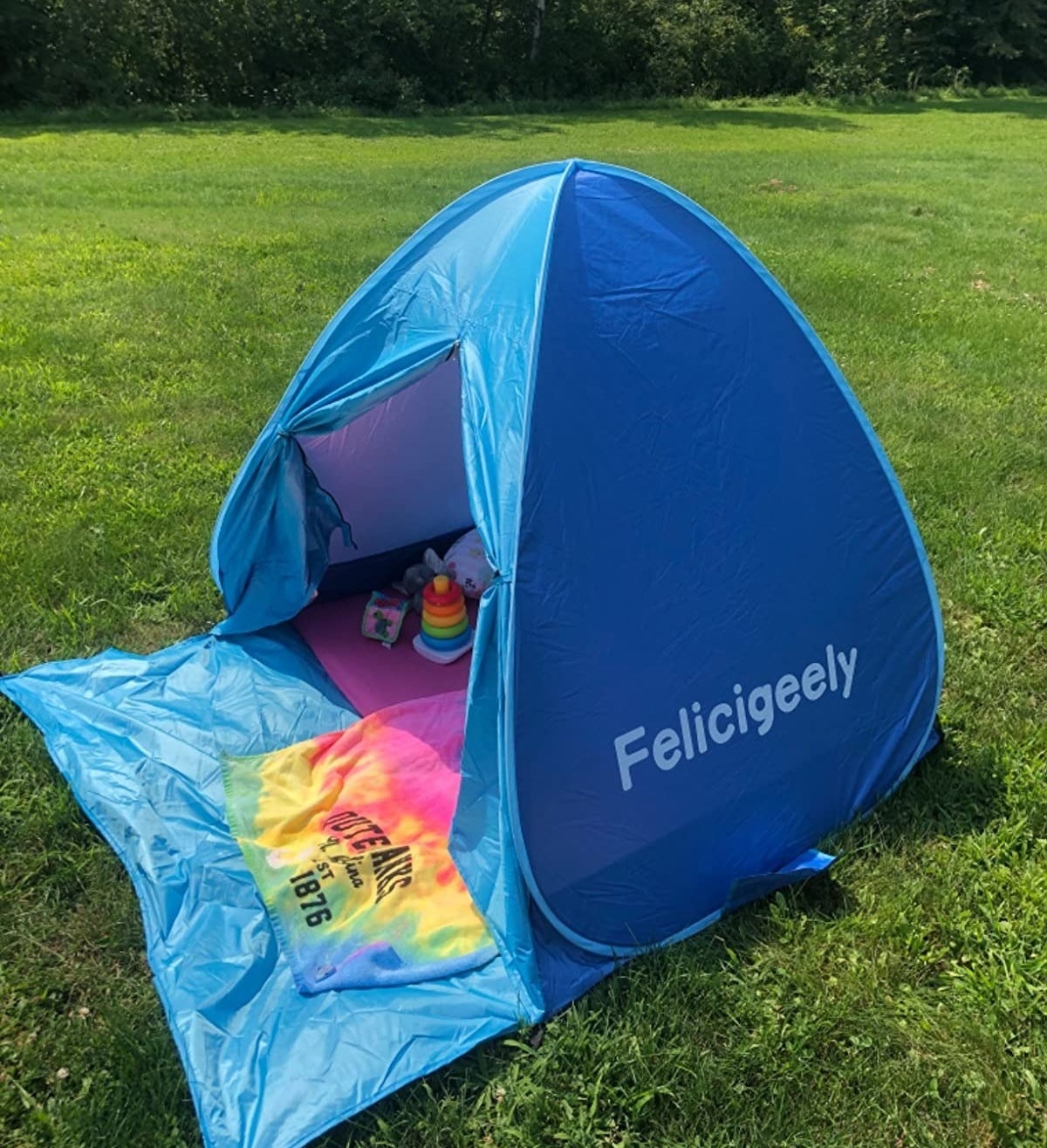 A pop-up tent in a yard