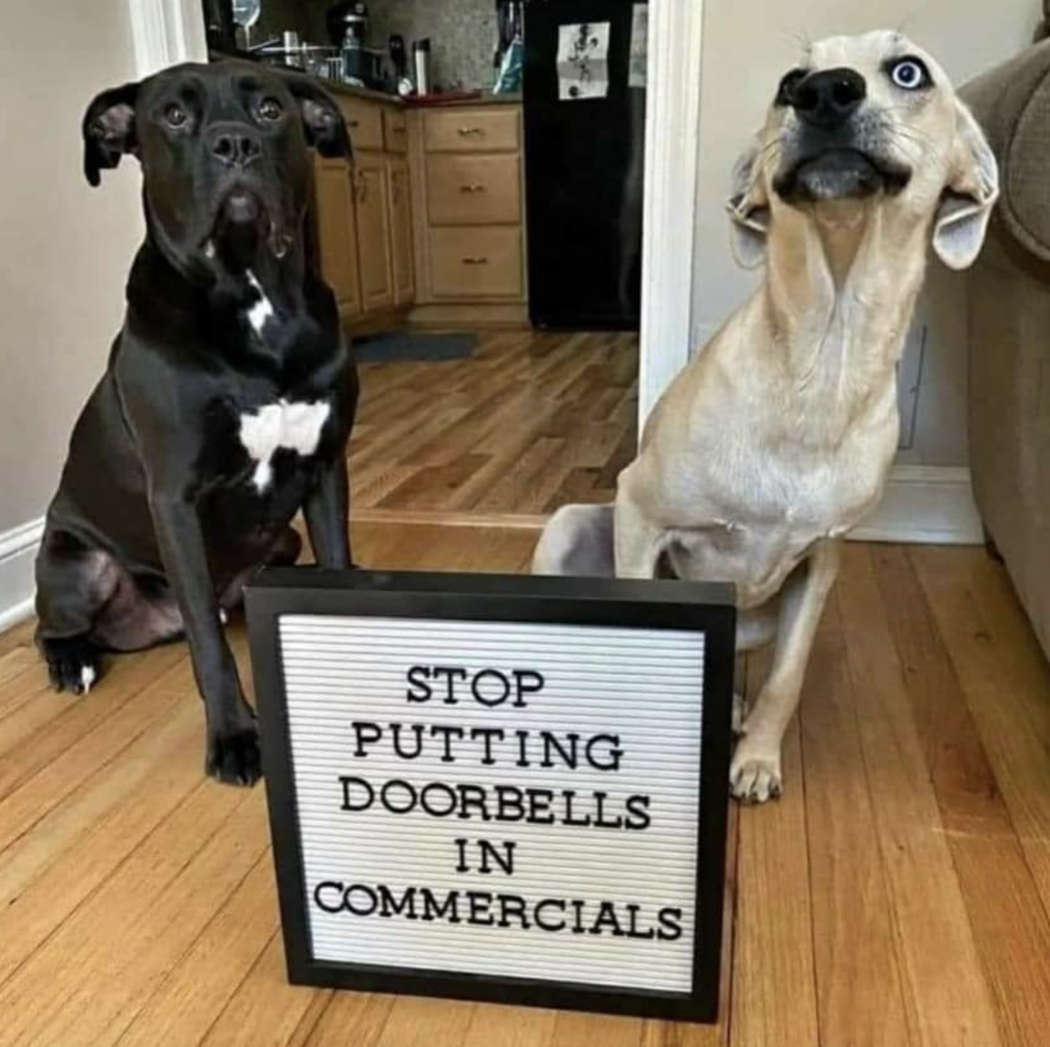 &quot;Stop putting doorbells in commercials&quot;