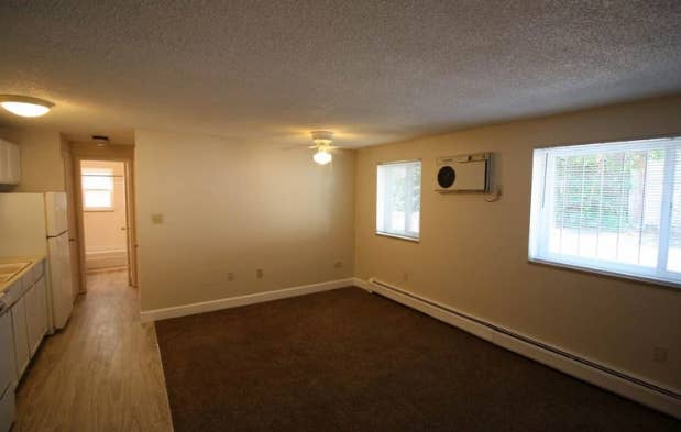 ugly apartment with dark carpets, white appliances, flush mount ceiling lights