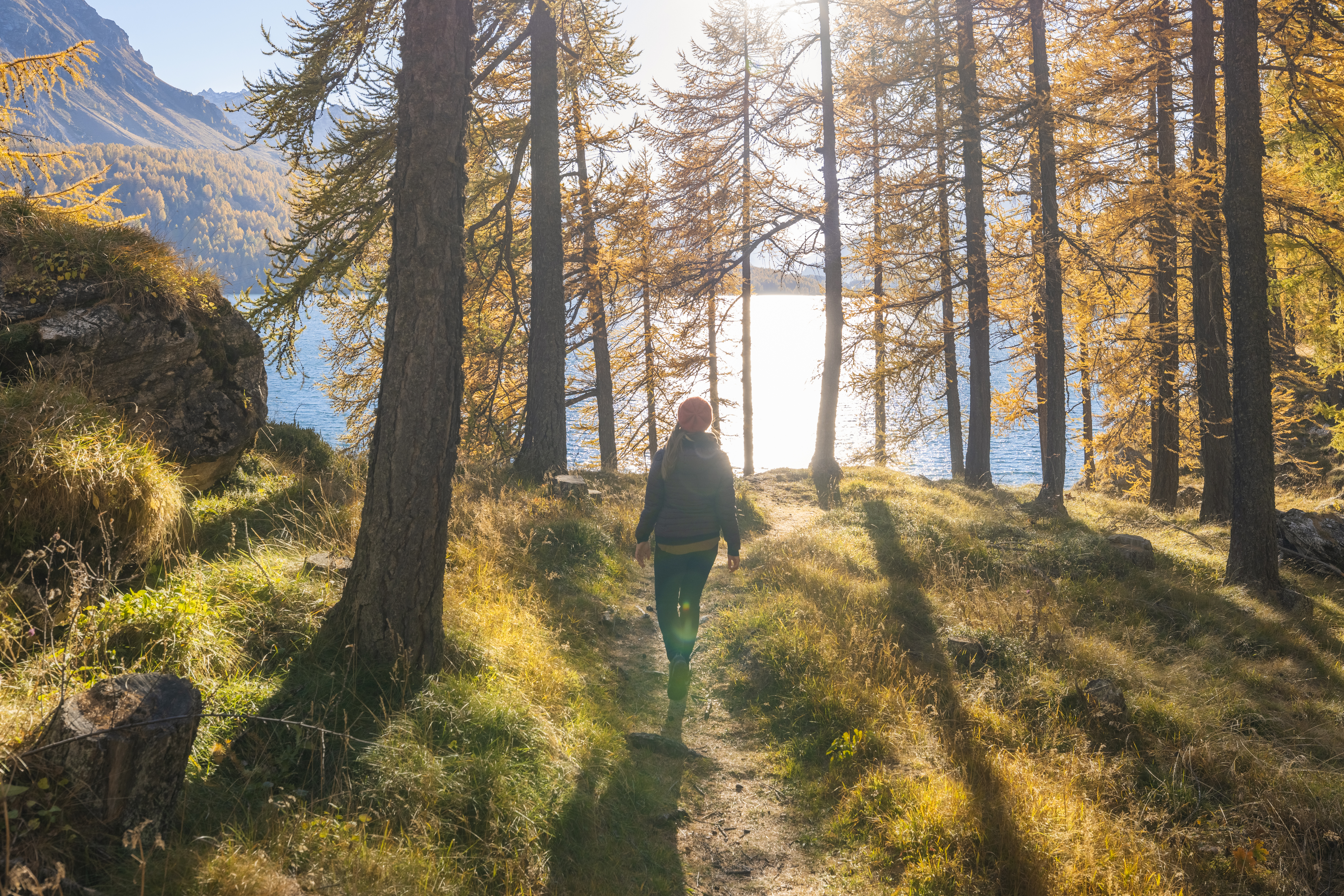 a person walking in the woods