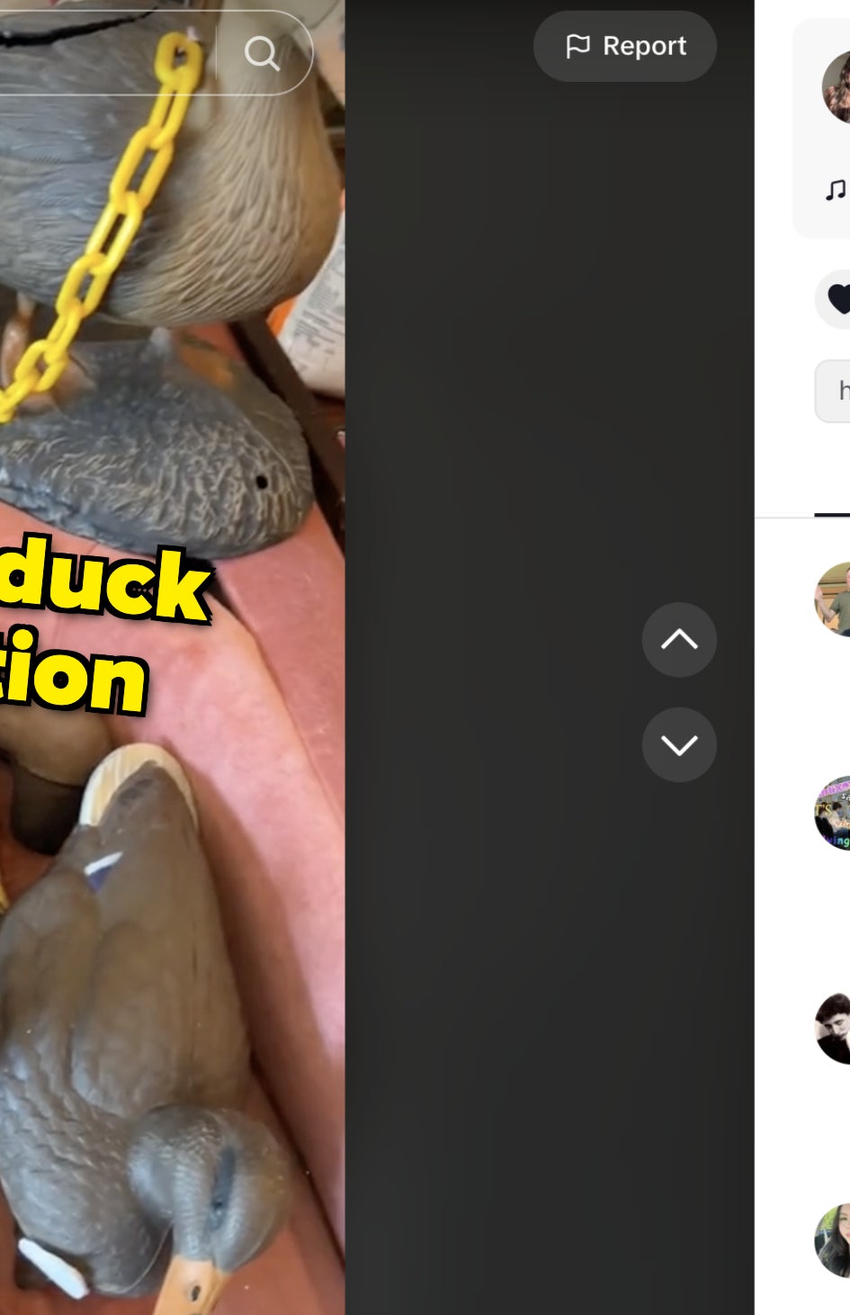 Myra&#x27;s duck collection is being displayed