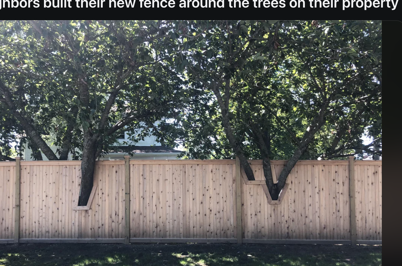 A fence incorporating three trees in a straight line as part of the structure