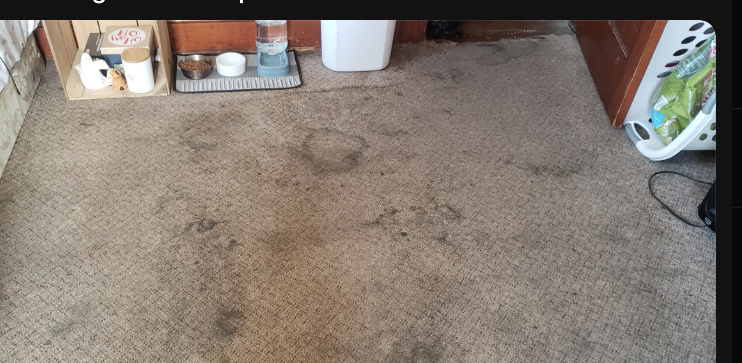 A worn carpet with spills and stains