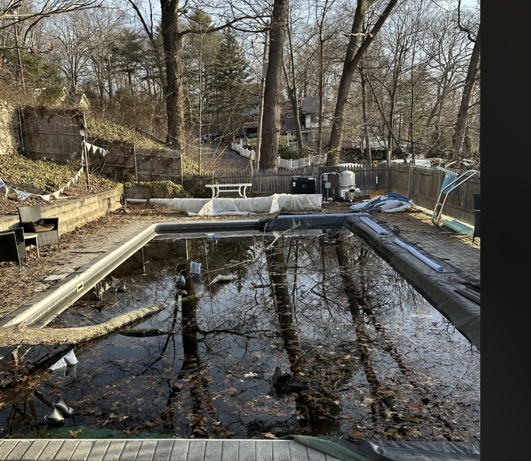 An in-ground pool is cluttered with dirt and leaves in a backyard