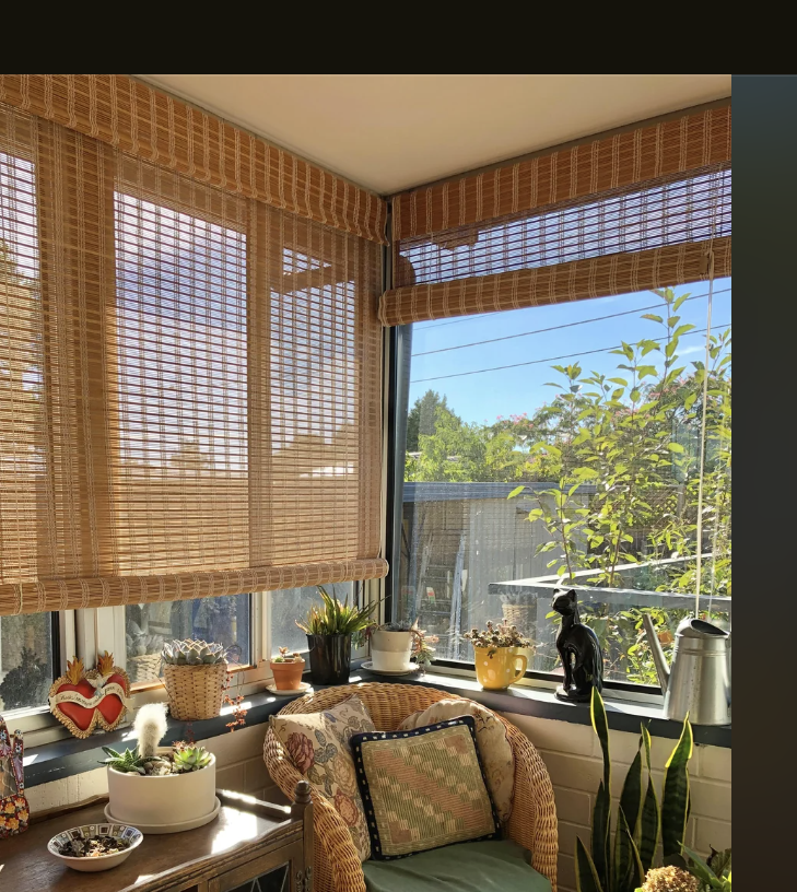 Sunlit cozy sunroom with plants and a dining area, viewed from an indoor perspective