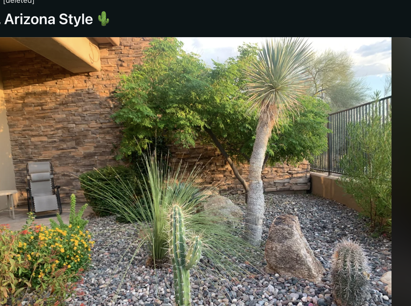 A person showing off their xeriscaped garden, including cacti and other native plants