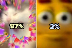 Meme con dos imágenes borrosas, una con un gato y 97%, y otra con Garfield y 2%