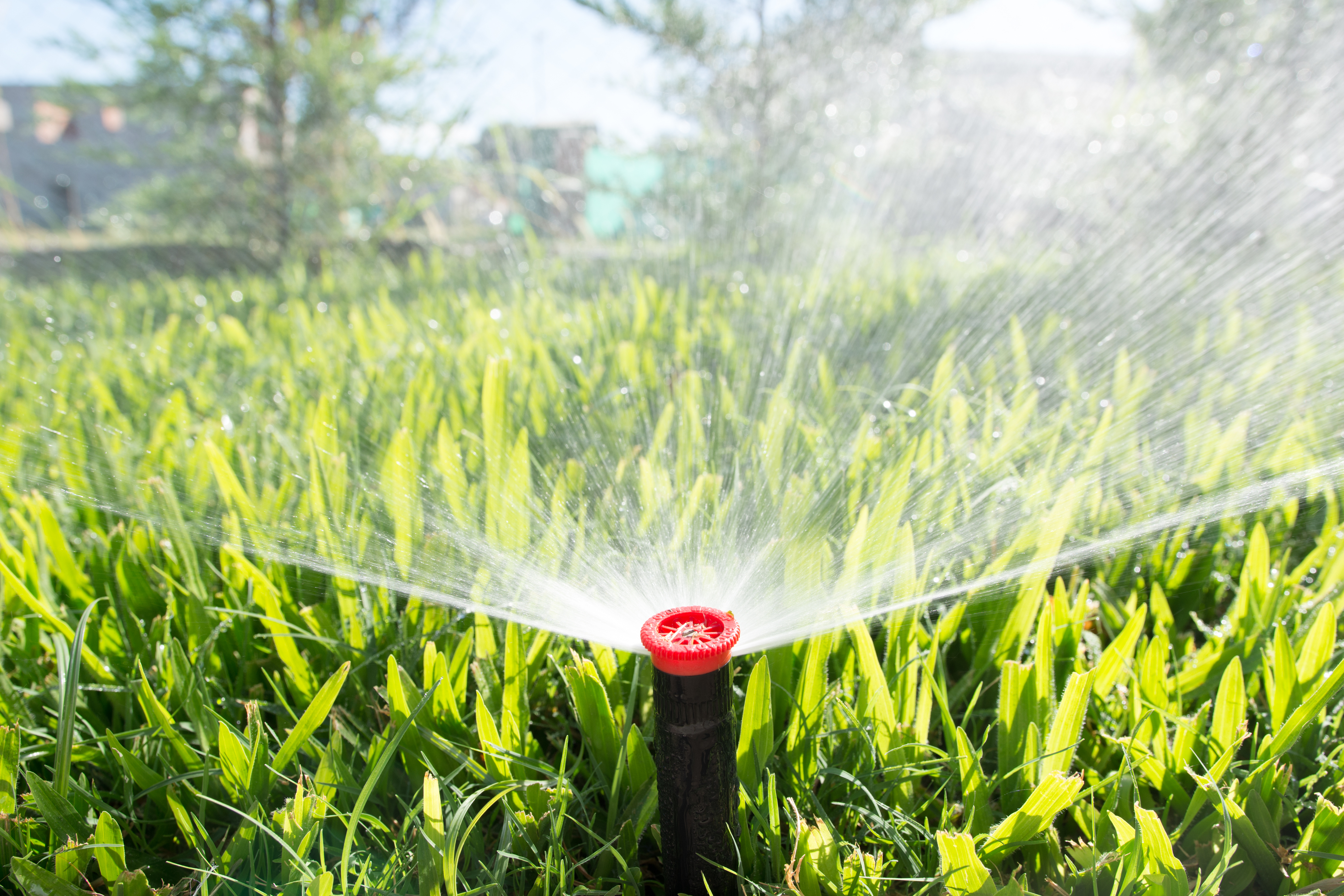 Water sprinkler spraying water over a green lawn in daylight