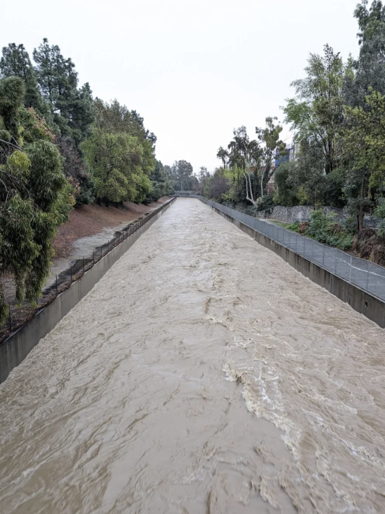 Overflowing river in a concrete channel with surrounding vegetation