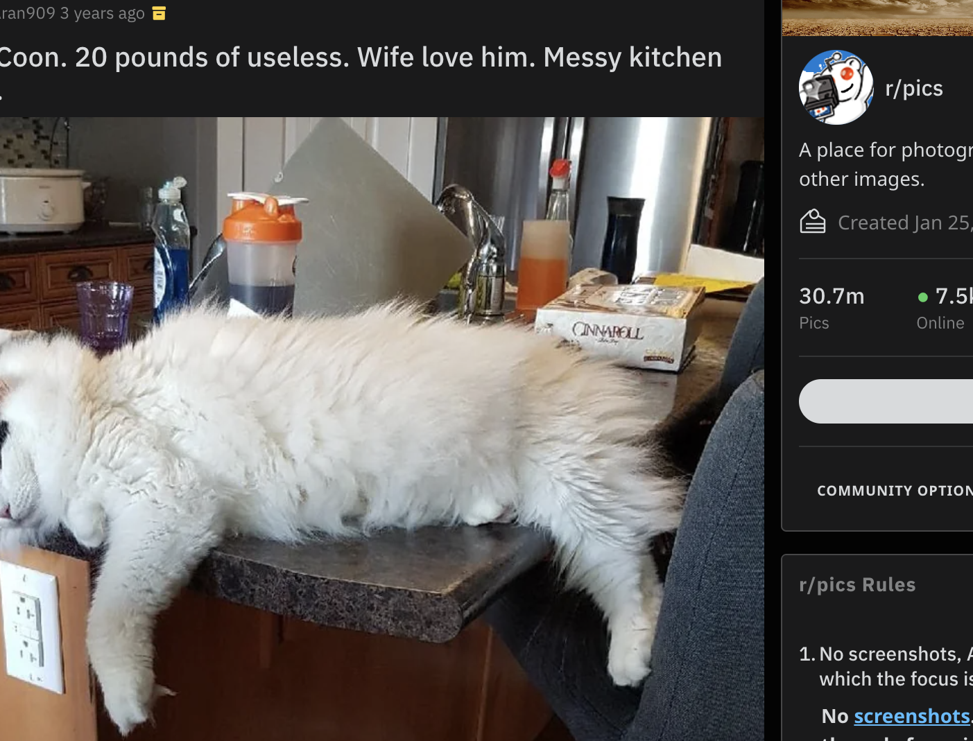 Large white dog sprawled across a kitchen counter next to a sink, with miscellaneous items around