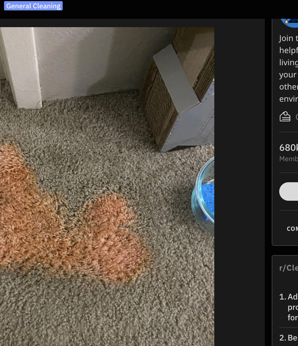 Carpet with large, irregular stain near a wall and a door, in a home setting