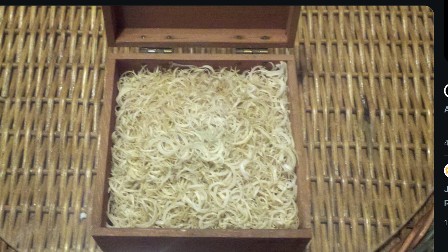 Display case filled with fingernail clippings, presented on a Reddit post