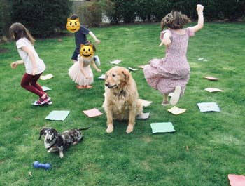 Children and dogs playing on grass with the Floor is Lava game