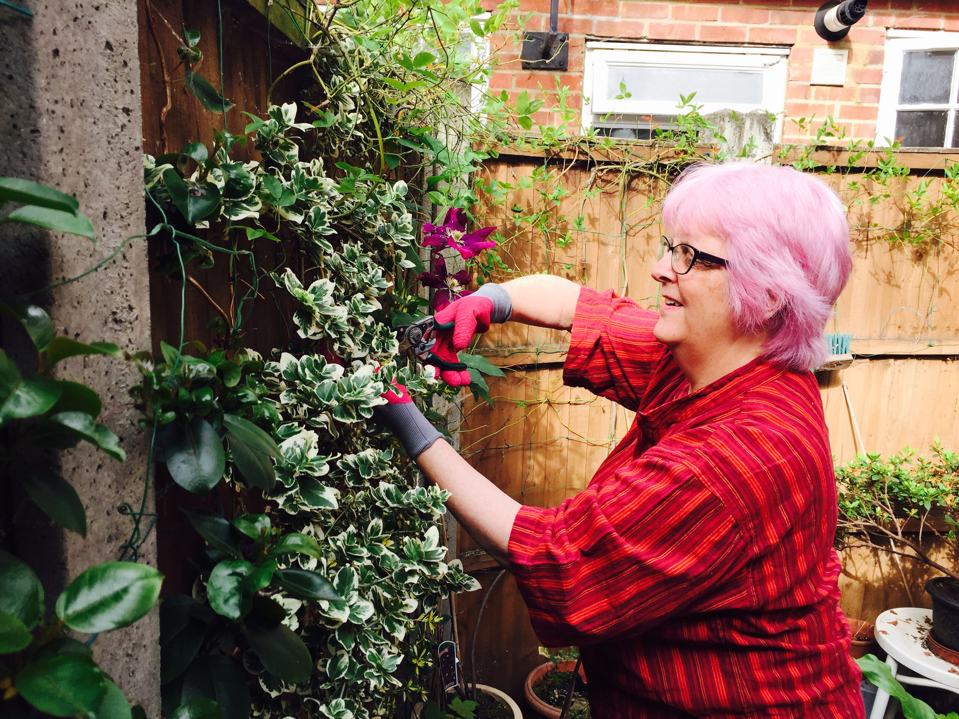 A person with pink hair, wearing glasses and a striped shirt, is gardening and pruning plants in a backyard