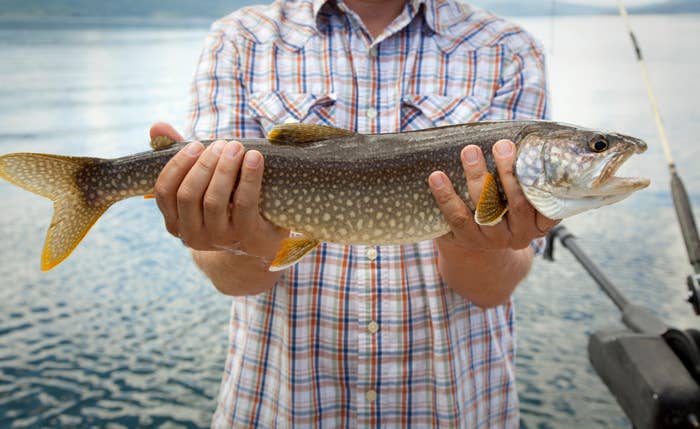 A person holding a large fish, likely caught during fishing on a lake. The person&#x27;s face is not visible, and they are wearing a checked shirt