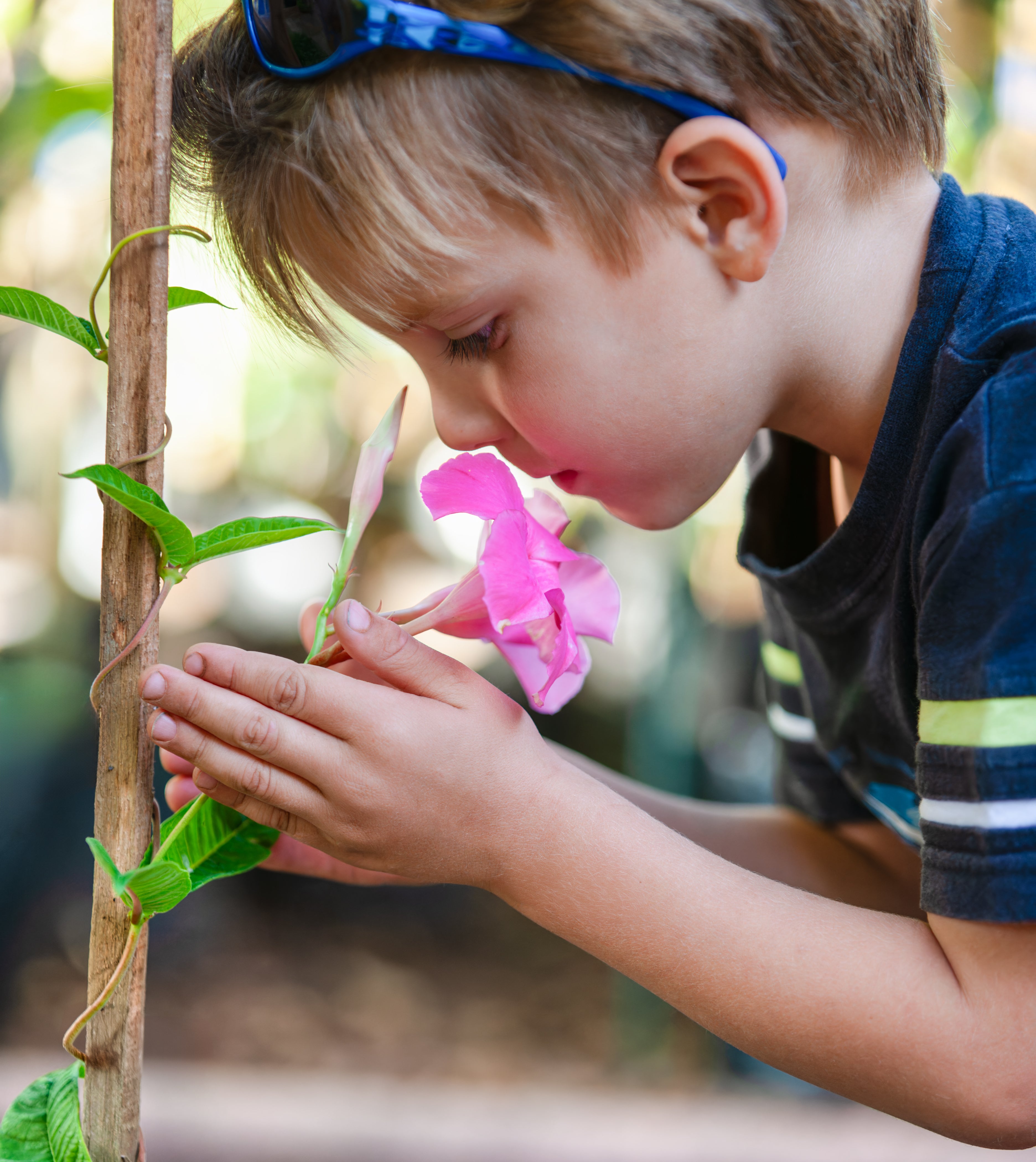 A young child is bending down to smell a pink flower in a garden, holding the flower gently with their hands